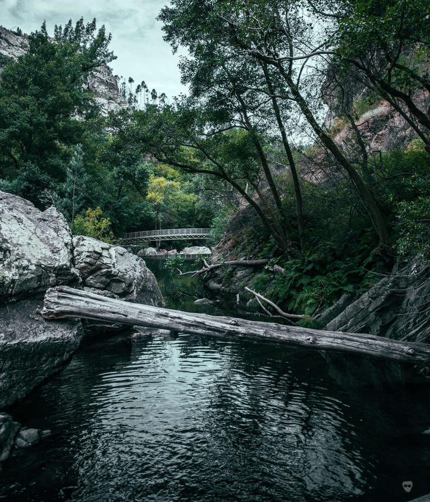 fraga sao simao-0-9.jpg